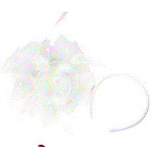 Small fascinator 016