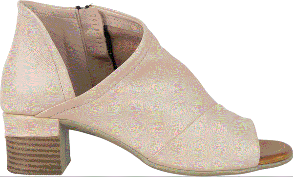 The Shoe Collective