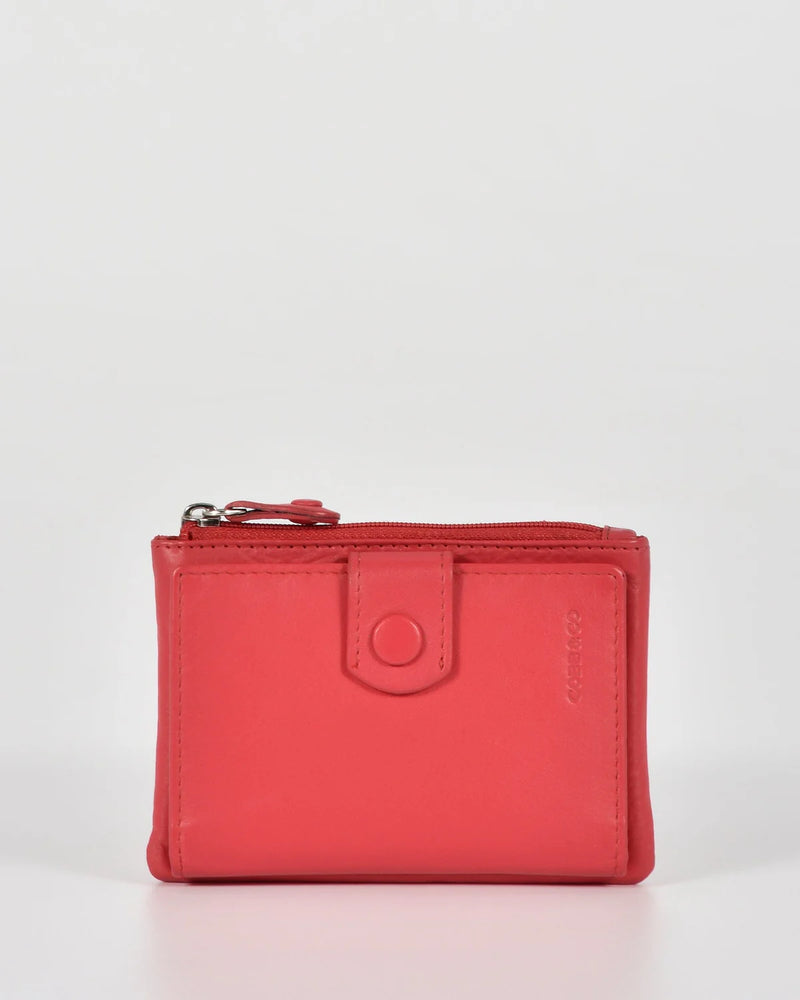 Collins Compact