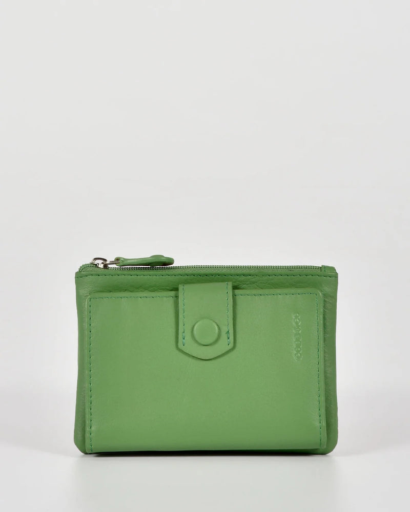 Collins Compact