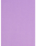 Plain pashmina